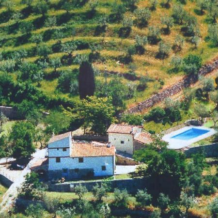 Agriturismo Montereggi Fiesole Quarto foto